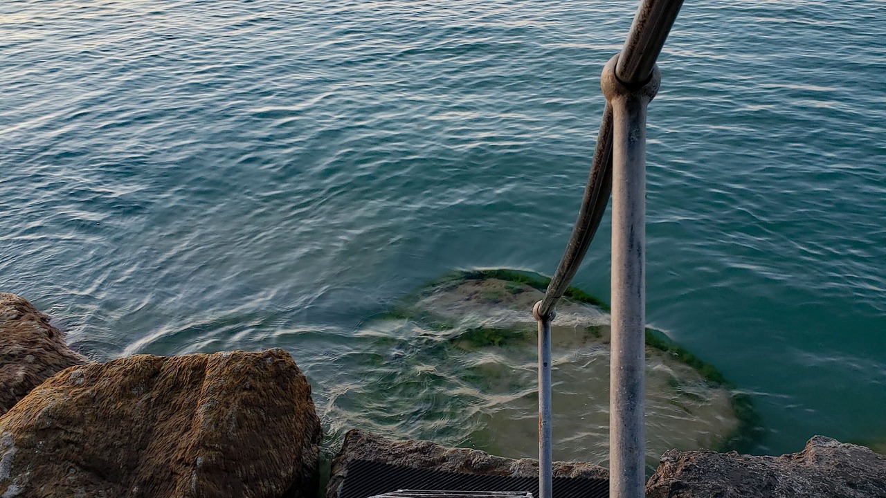 Photo of Others in Jordan Harbour