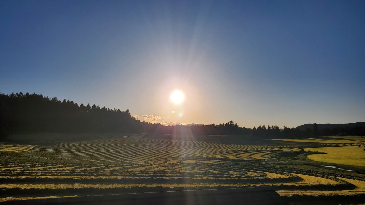Photo of Outdoor in Mill Bay