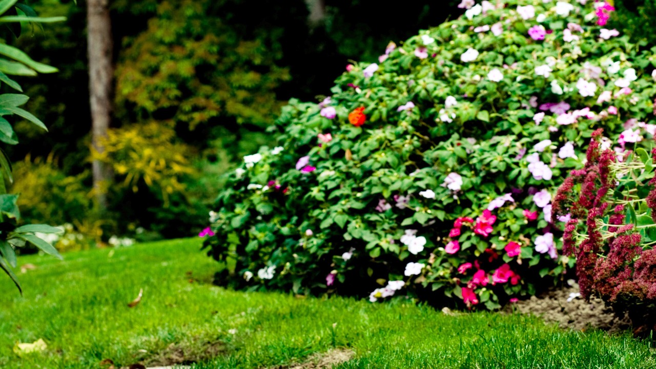 Photo of Outdoor in Kent