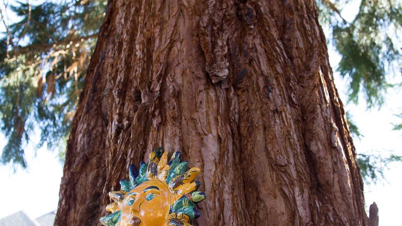 Photo of Others in Booktown