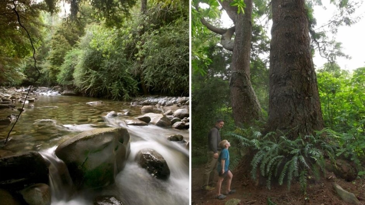 Photo of Others in Takaka