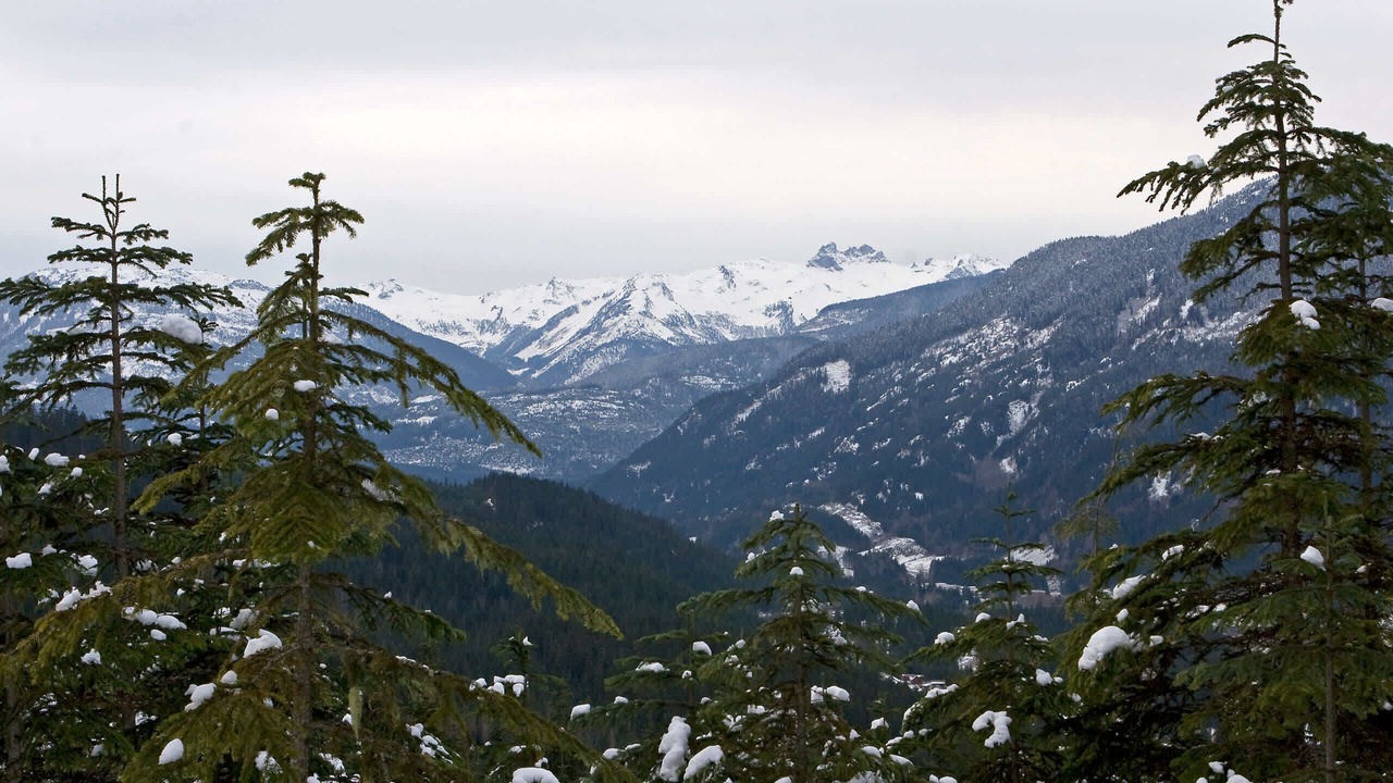 Photo of Others in Whistler Creekside