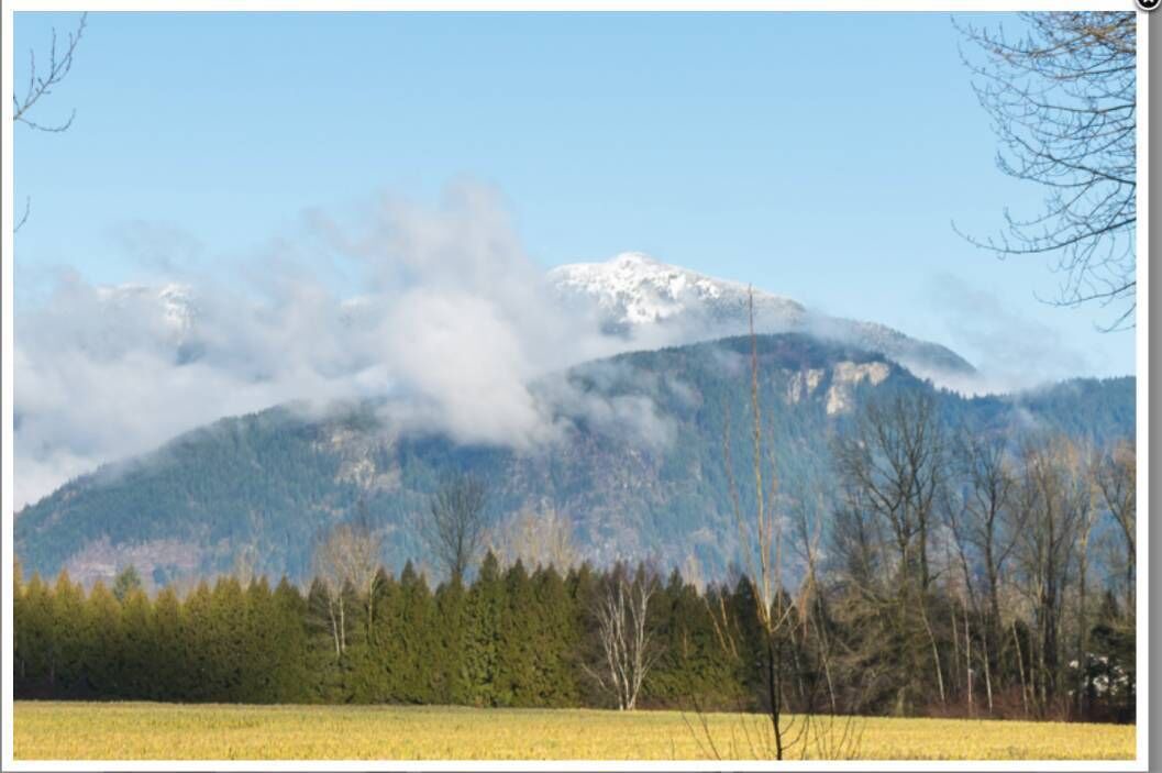 Photo of Others in Chilliwack Proper Village West