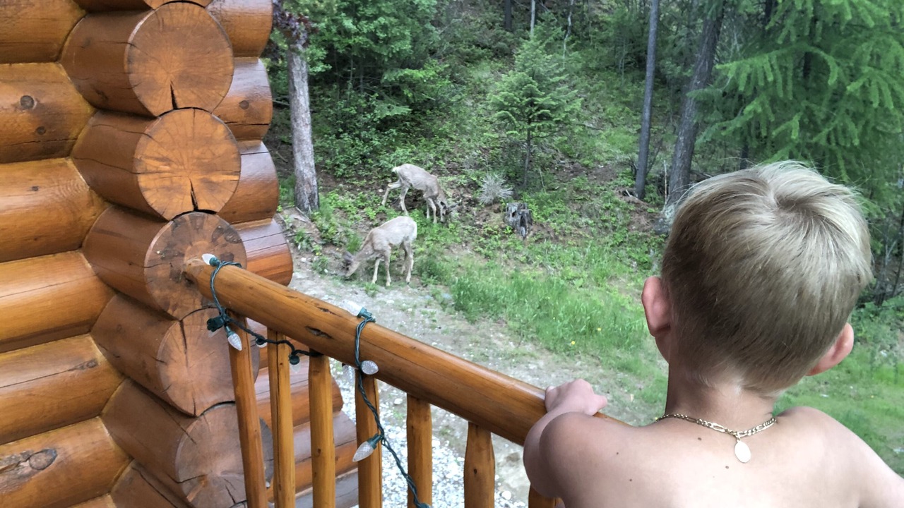 Photo of Others in East Kootenay