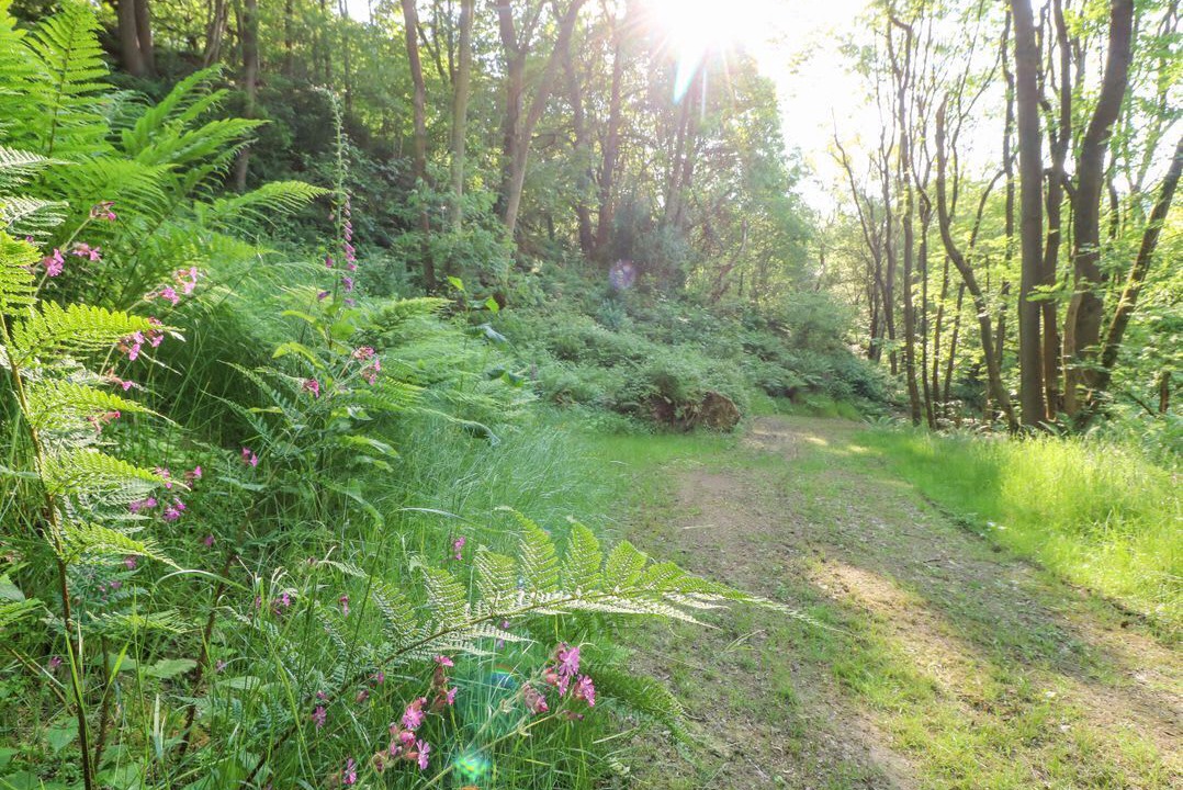 Photo of Others in Ambergate
