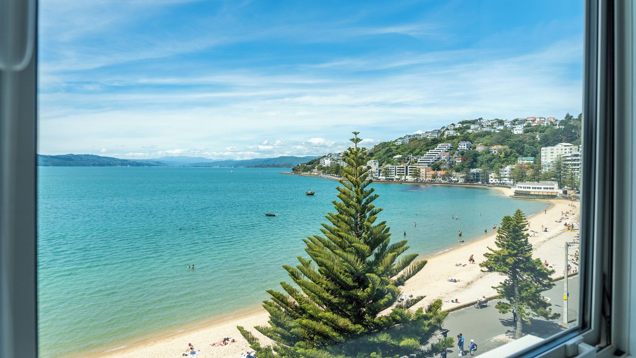 Photo of Others in Oriental Bay