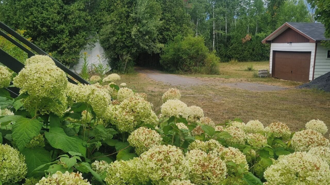 Photo of Outdoor in North Glengarry