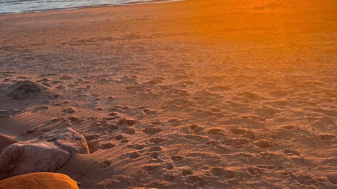 Photo of Others in Sauble Beach