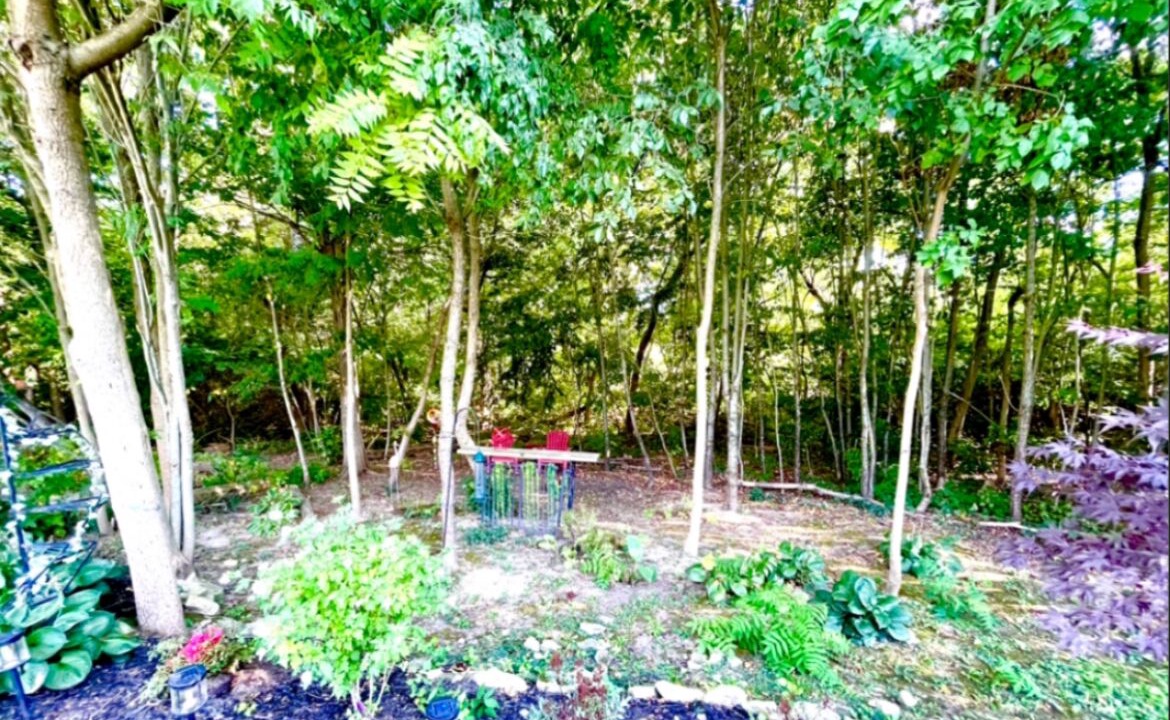 Photo of Outdoor in Smithville