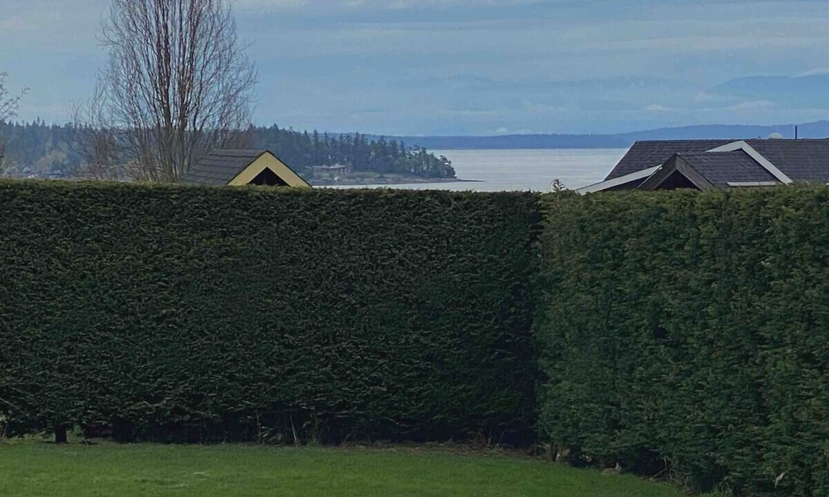 Photo of Others in Chemainus