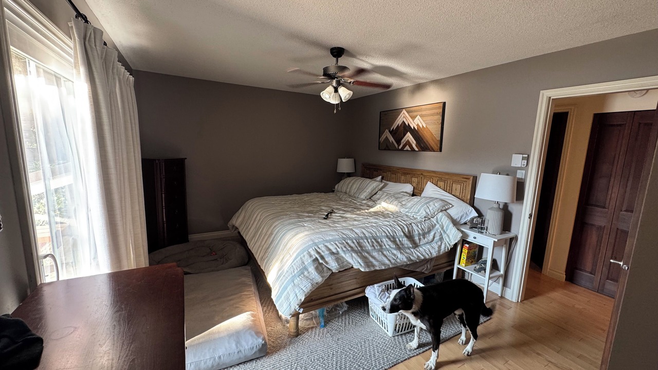 Photo of Bedroom in Terrace