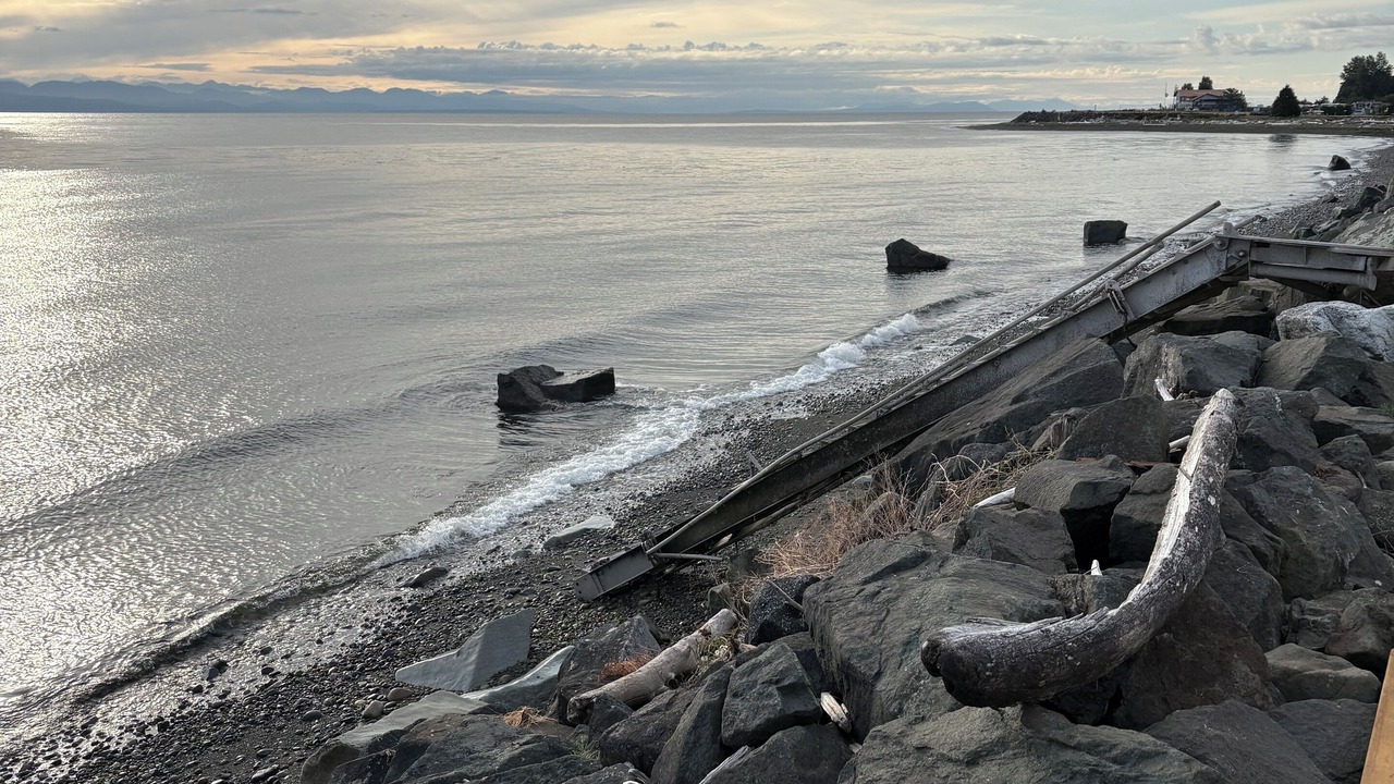 Photo of Others in Campbell River