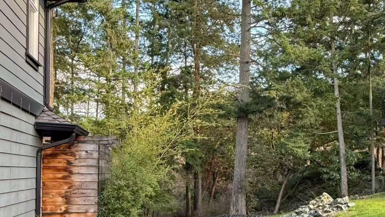 Photo of Outdoor in Langford