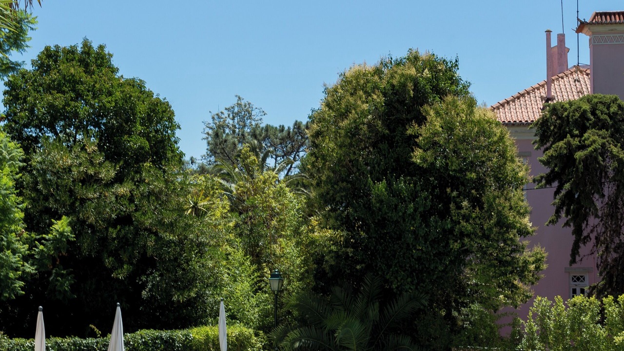 Photo of Outdoor in Estoril