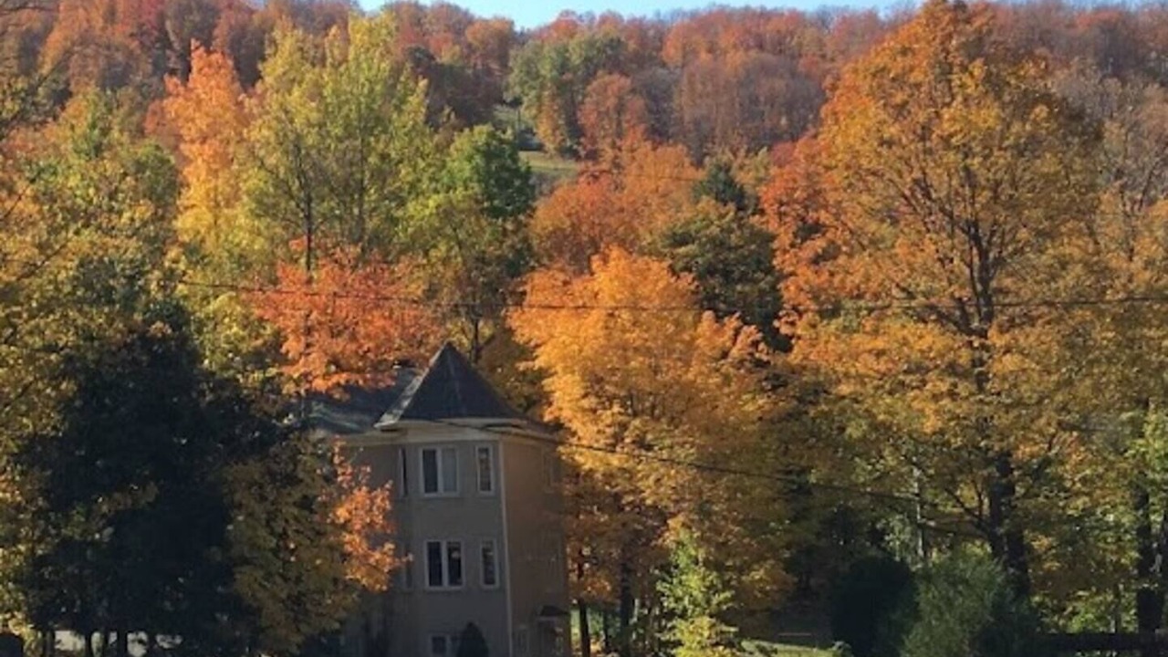 Photo of Others in Bromont