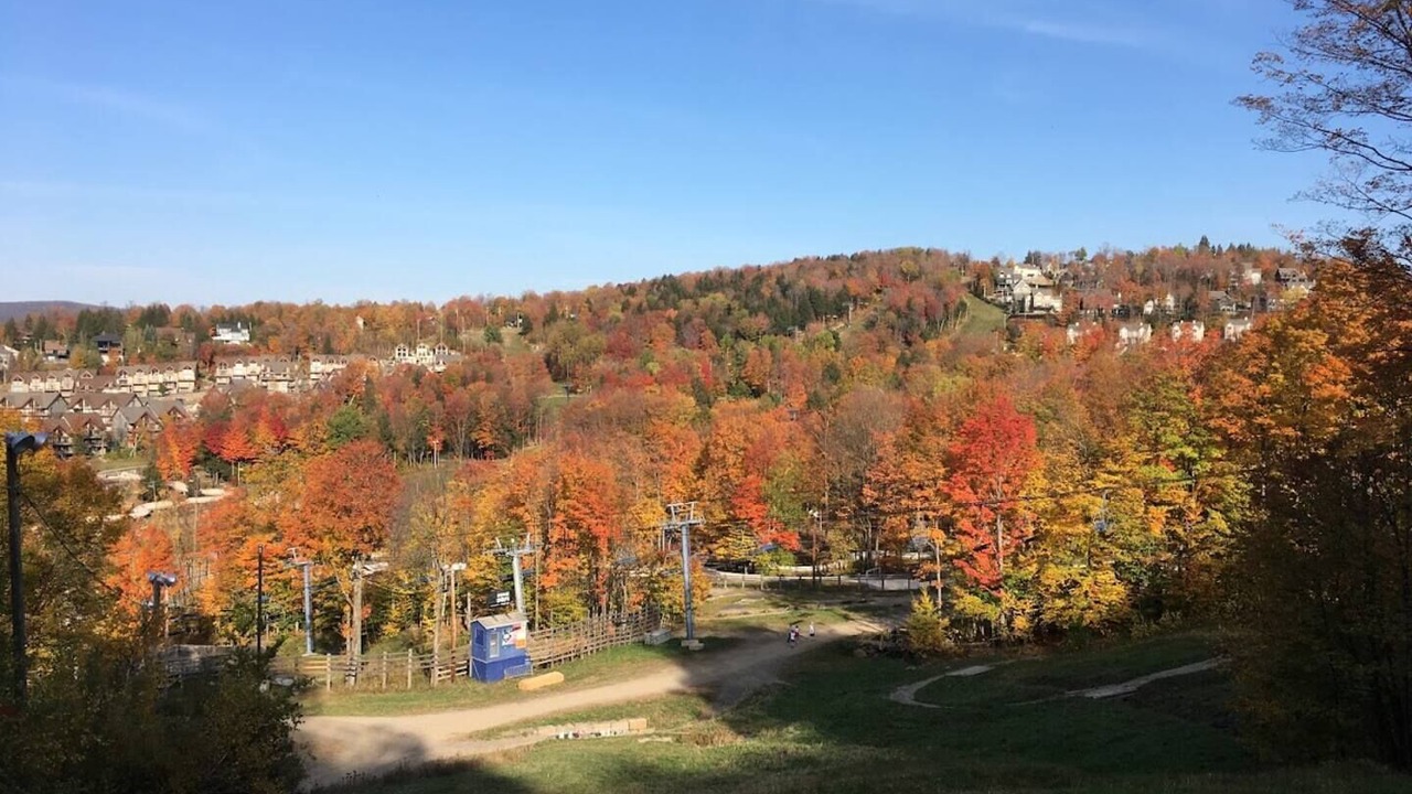 Photo of Others in Bromont