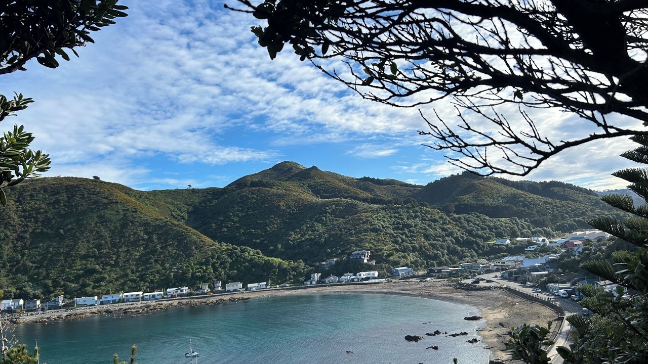 Photo of Others in Wellington