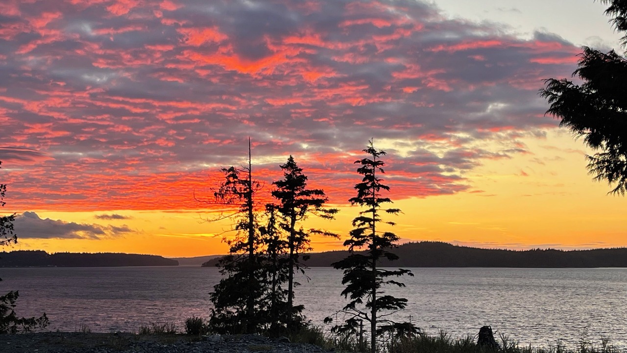 Photo of Outdoor in Telegraph Cove
