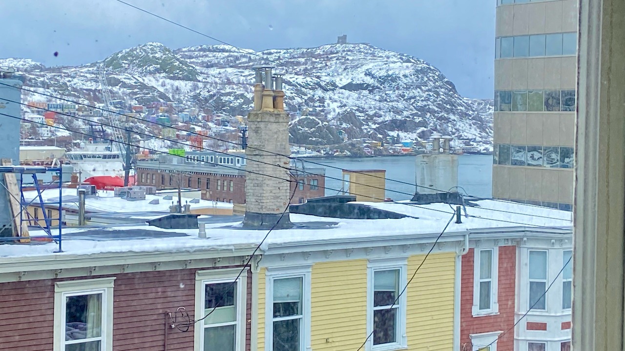 Photo of Others in Downtown St. John's