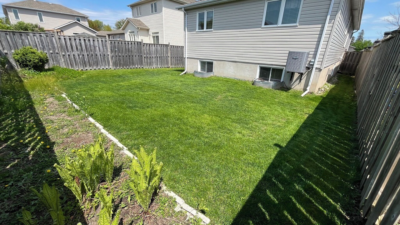 Photo of Outdoor in Amherstview