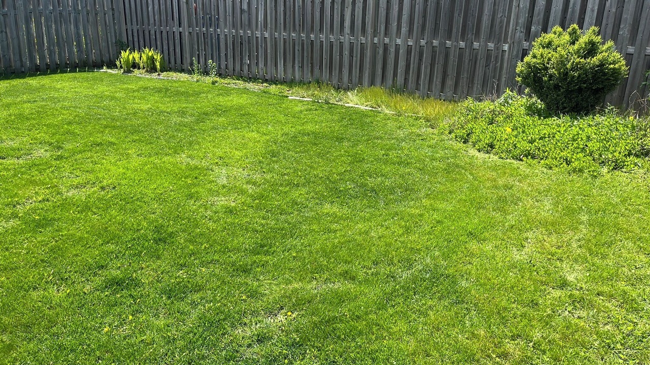 Photo of Outdoor in Amherstview