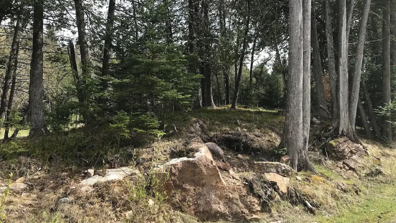 Photo of Others in Lanark Highlands