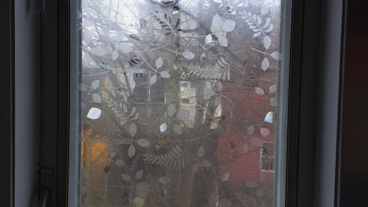 Photo of Others in Downtown St. John's
