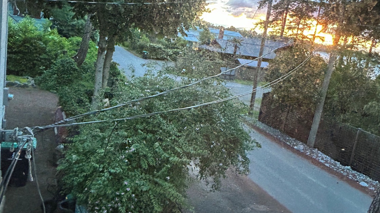 Photo of Outdoor in Comox