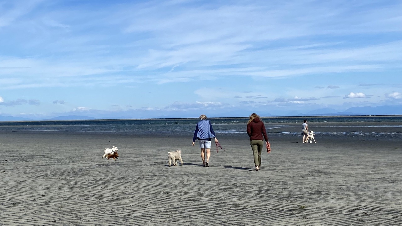 Photo of Others in Comox