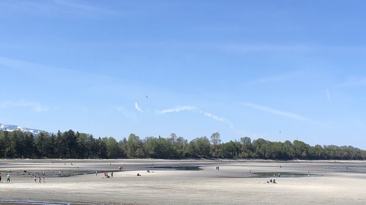 Photo of Others in Comox