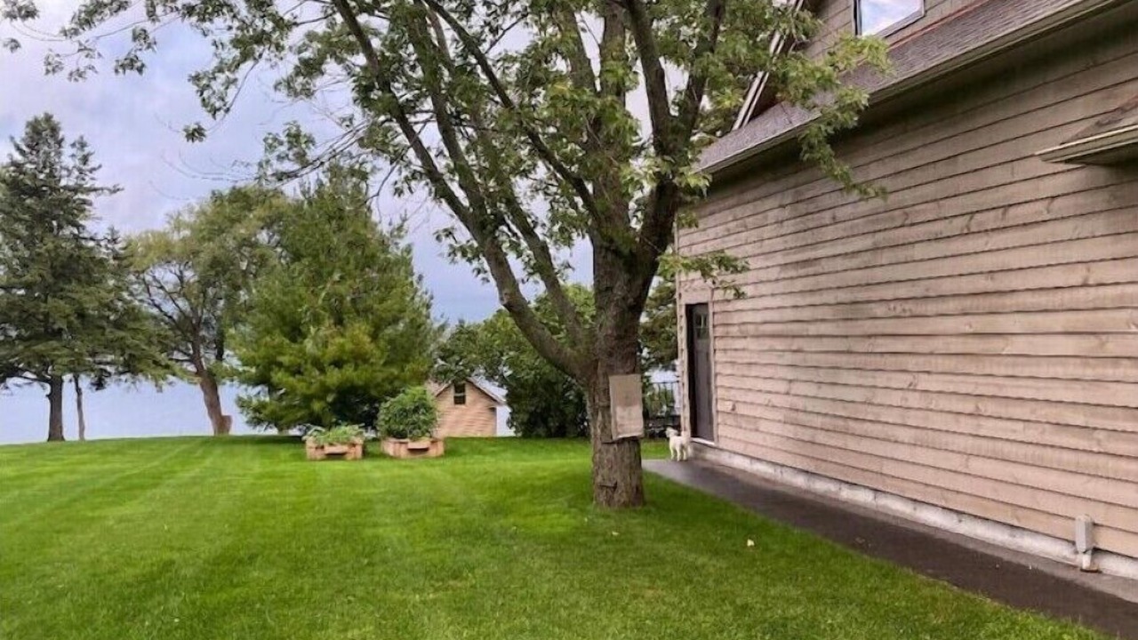 Photo of Outdoor in Prince Edward