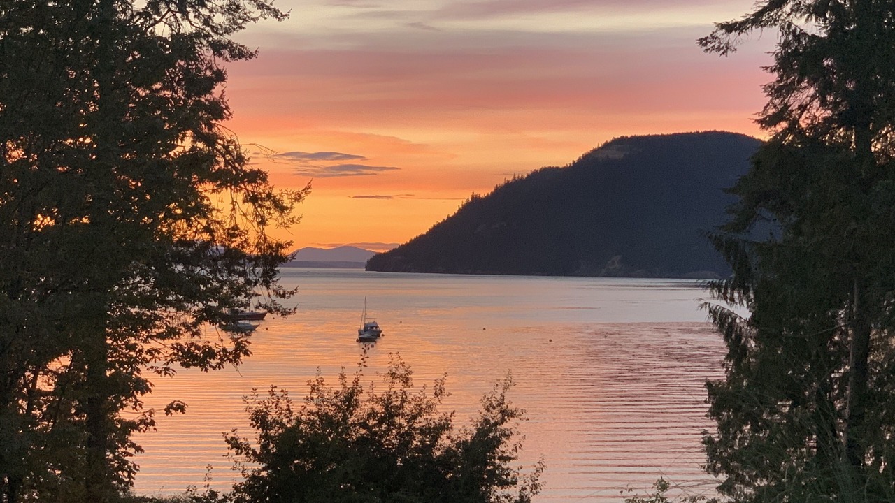 Photo of Others in Mayne Island