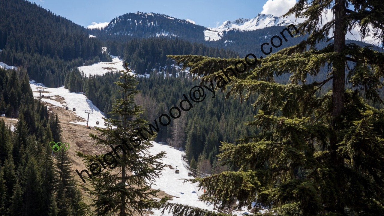 Photo of Outdoor in Nordic Estates