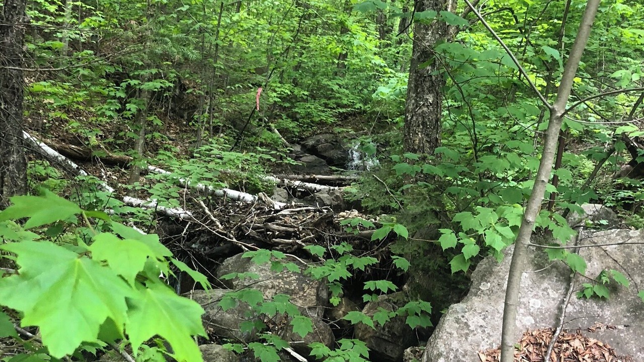 Photo of Outdoor in Saint Donat