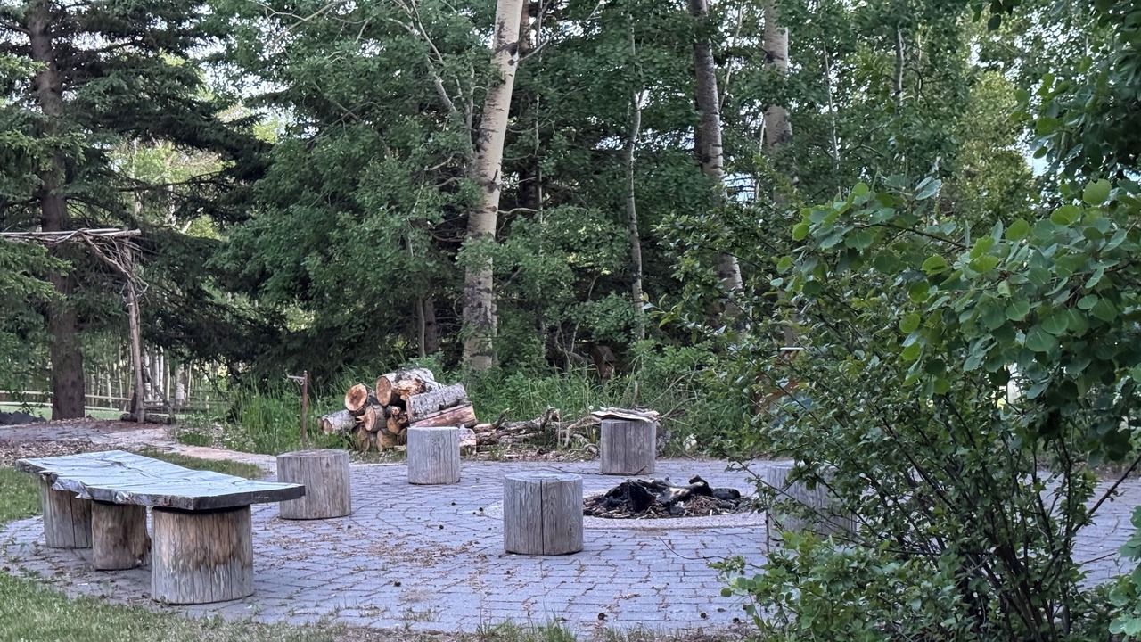 Photo of Outdoor in Priddis