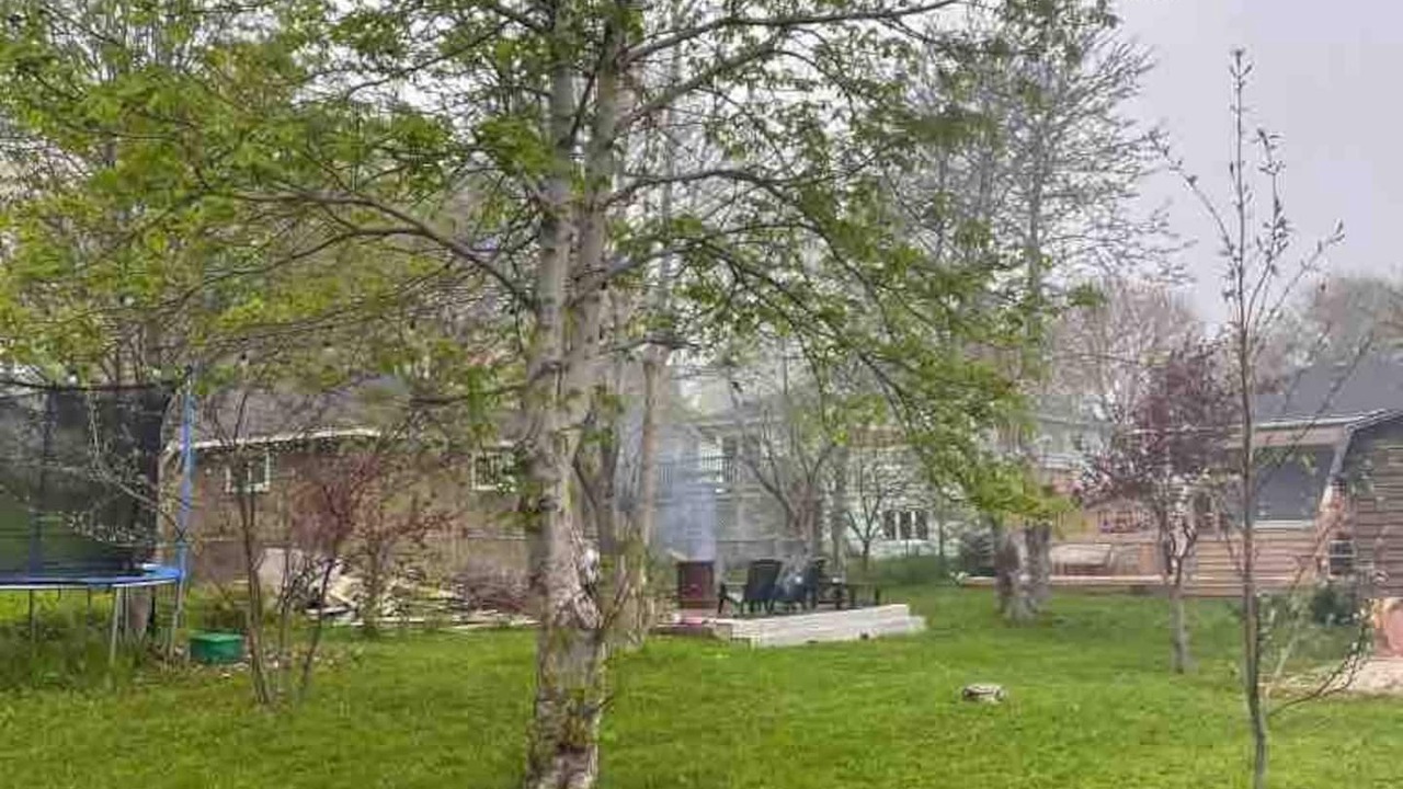 Photo of Outdoor in West End
