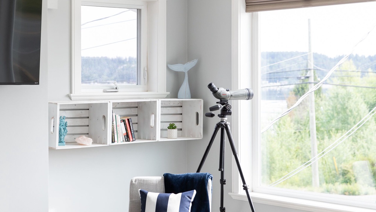 Photo of Livingroom in Courtenay