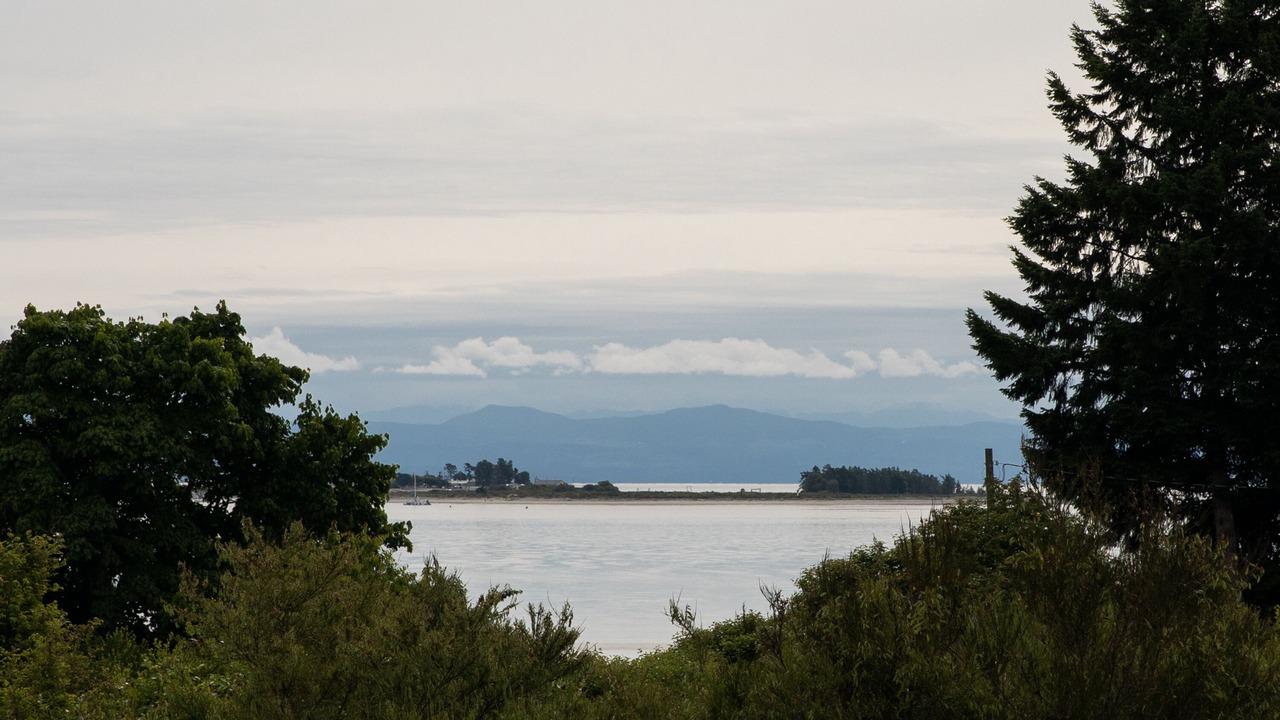 Photo of Others in Courtenay