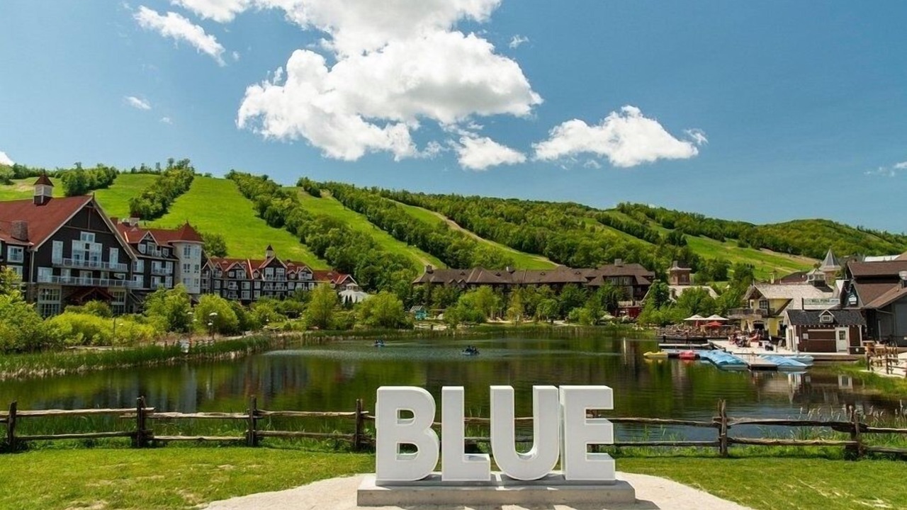 Photo of Outdoor in Collingwood