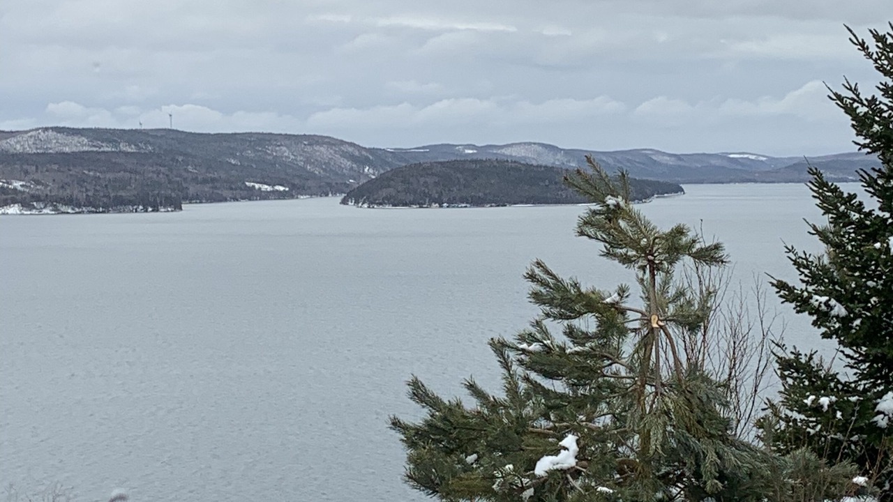 Photo of Others in Cape Breton Regional Municipality