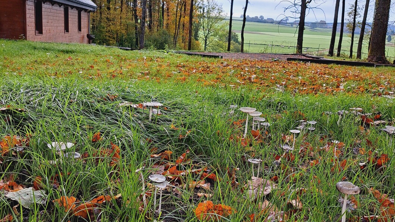 Photo of Outdoor in Heyd