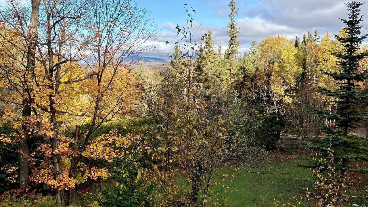 Photo of Outdoor in Saint-Faustin-Lac-Carre
