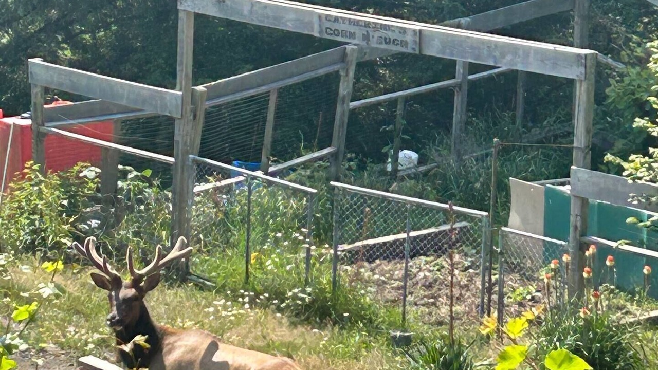 Photo of Outdoor in Westholme
