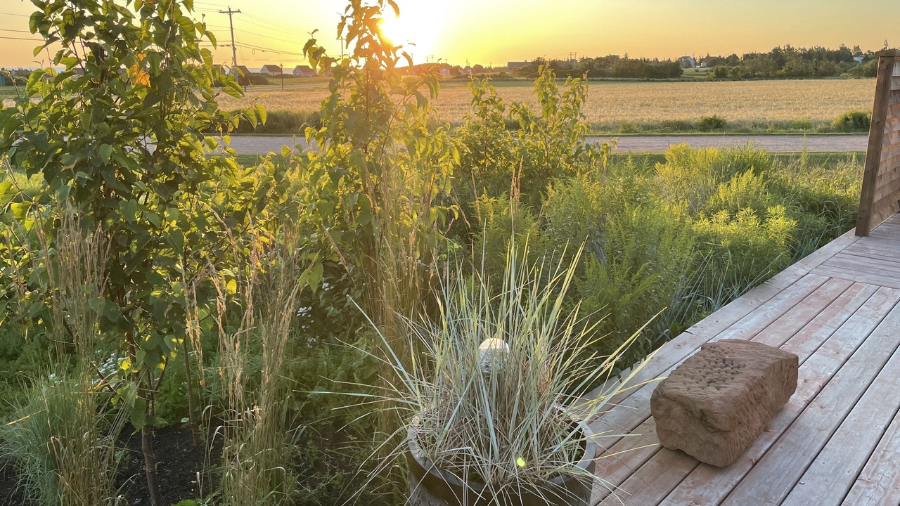 Photo of Outdoor in Green Gables