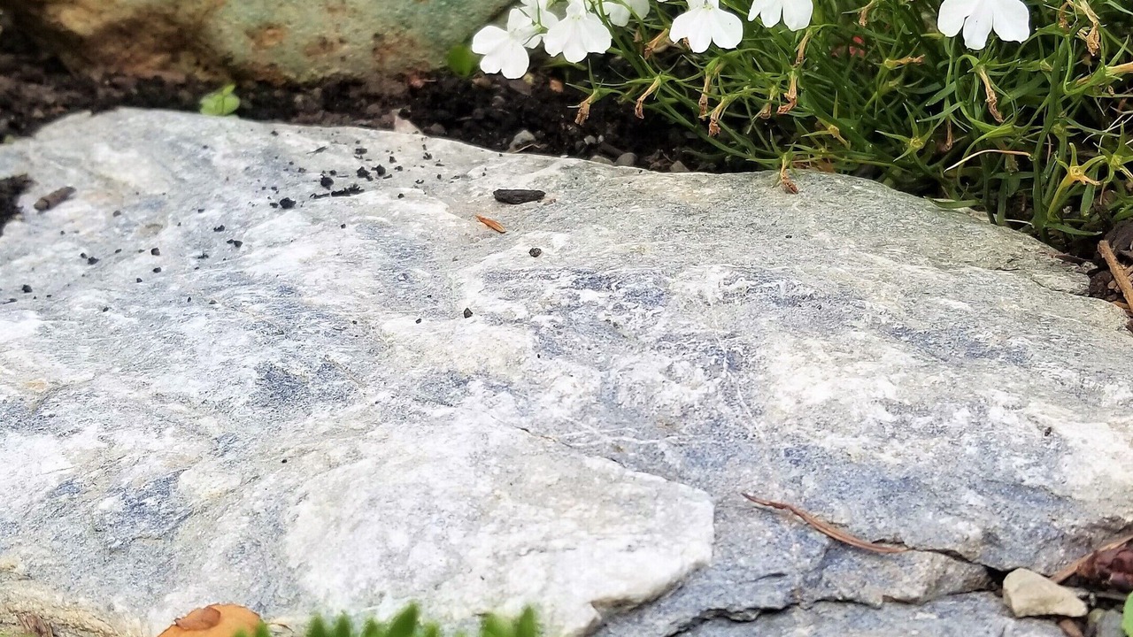 Photo of Others in Kamloops
