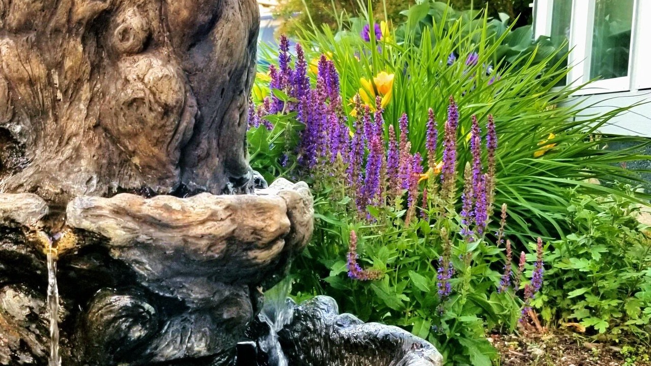 Photo of Outdoor in Kamloops