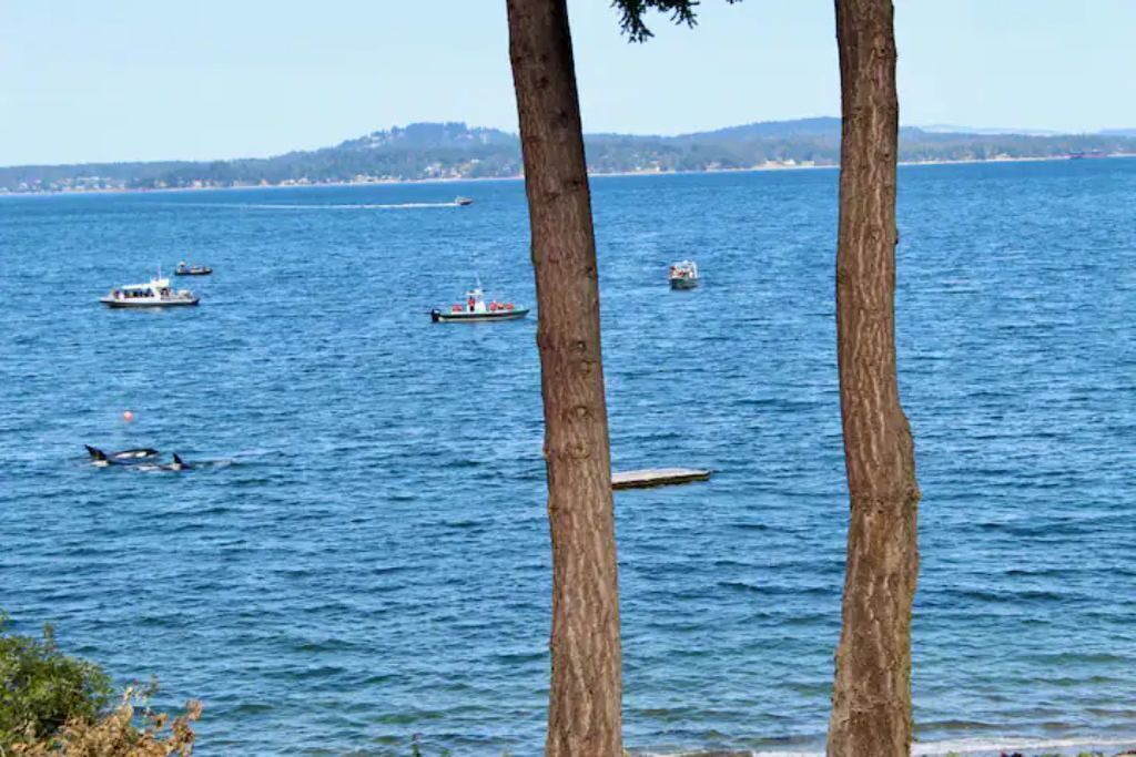 Photo of Outdoor in Mill Bay