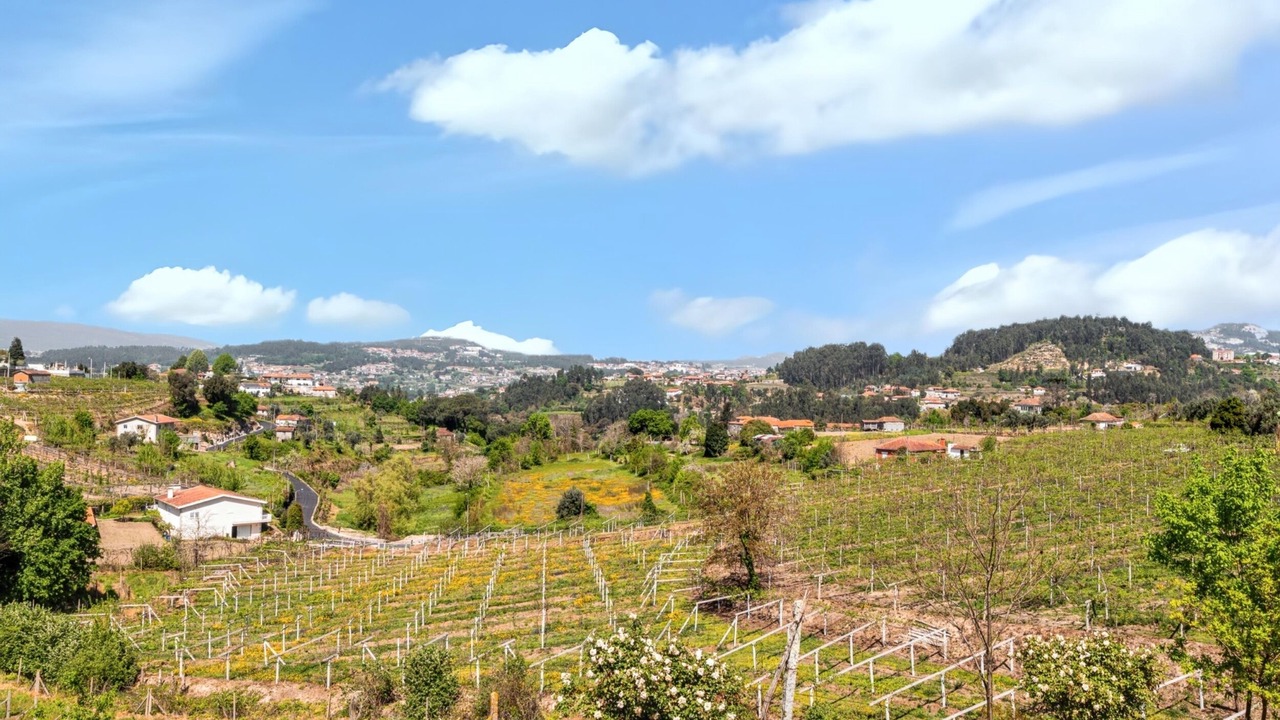Photo of Others in Castelo de Paiva