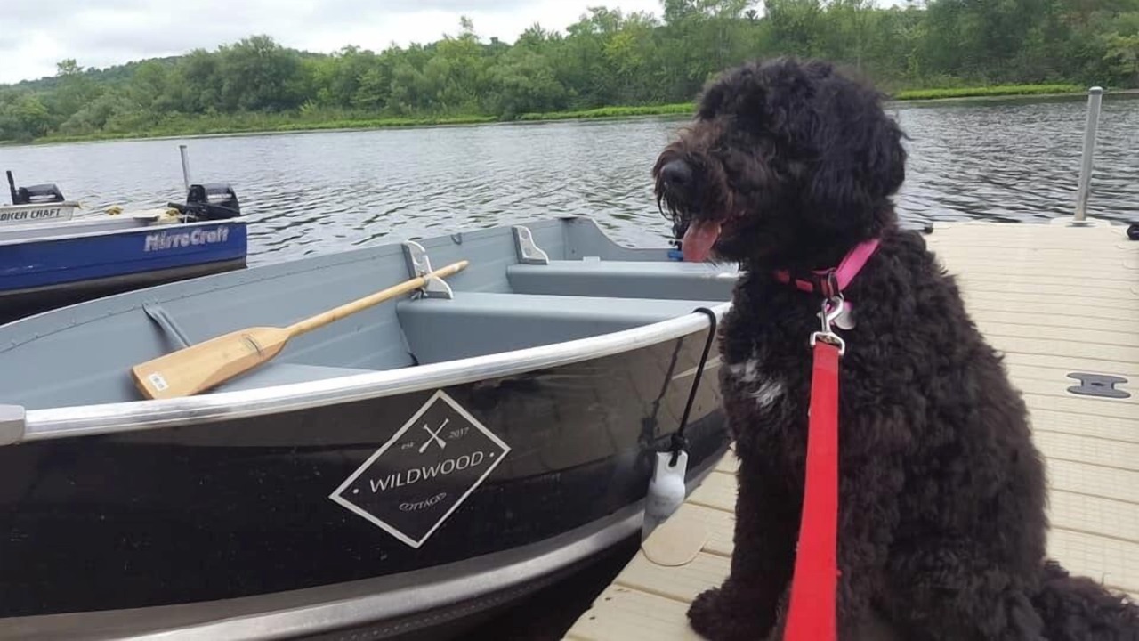 Photo of Others in Otonabee-South Monaghan