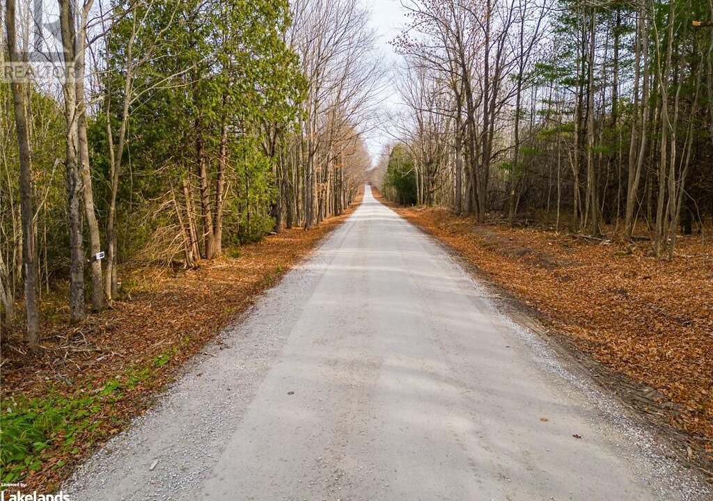Photo of Outdoor in Grey Highlands